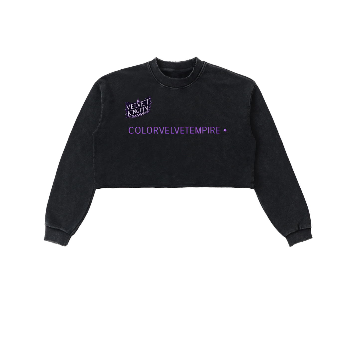 Snow Washed Raw Edge Cropped Sweatshirt