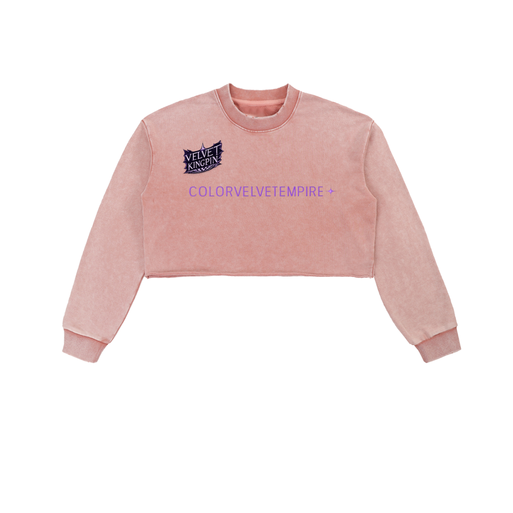 Snow Washed Raw Edge Cropped Sweatshirt