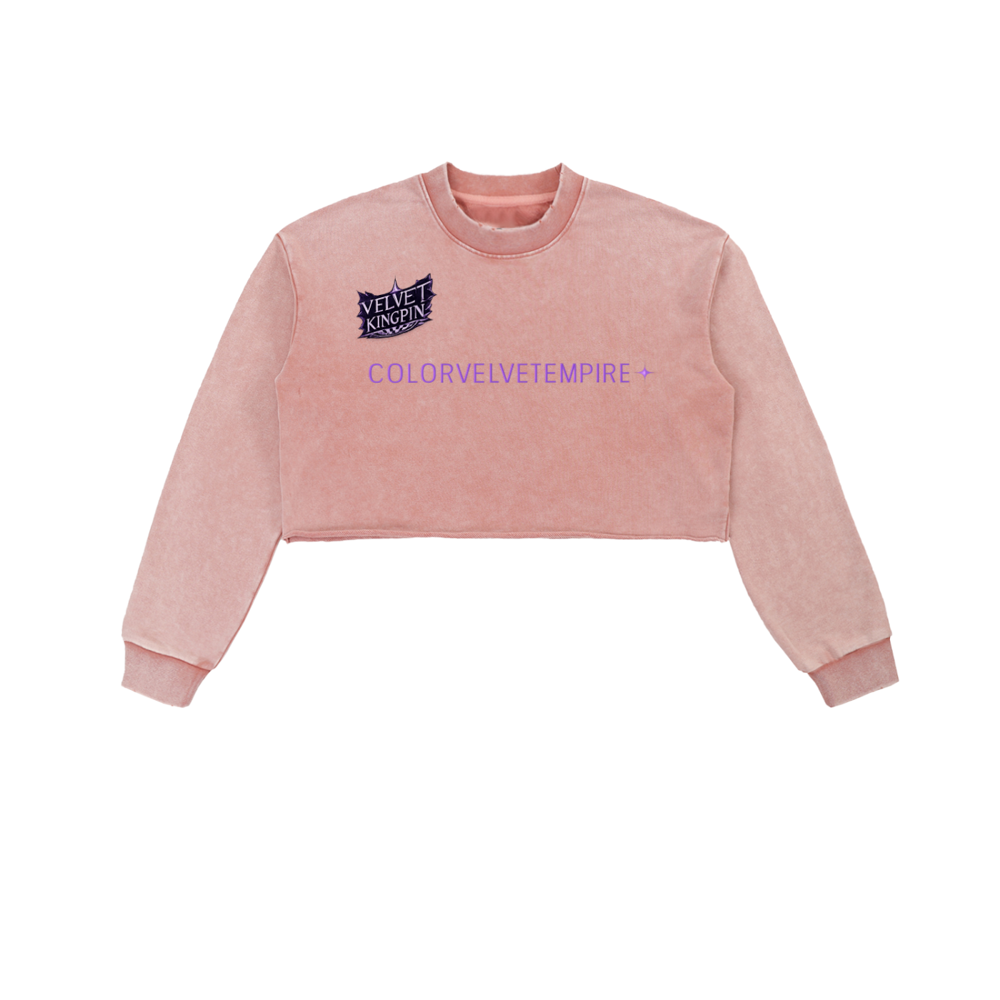 Snow Washed Raw Edge Cropped Sweatshirt