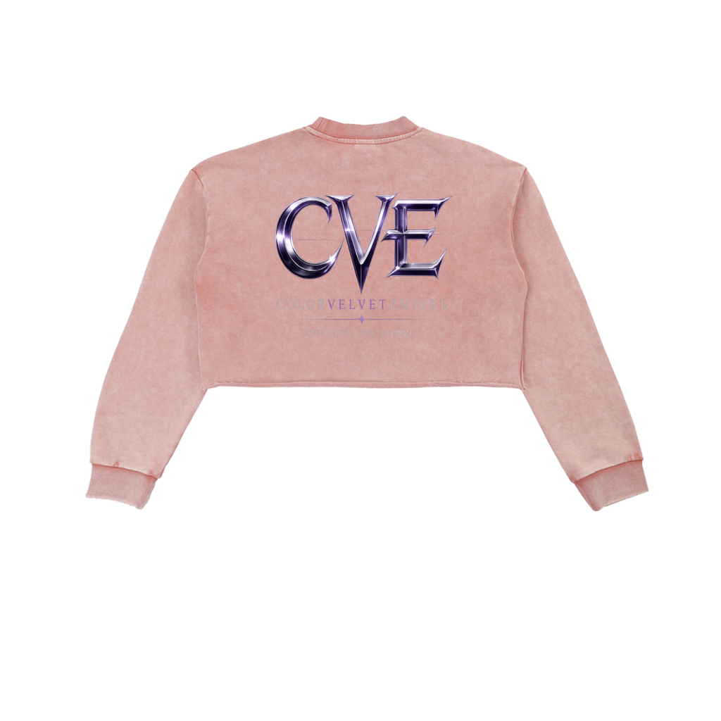 Snow Washed Raw Edge Cropped Sweatshirt